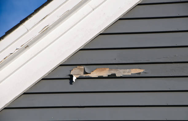 Same-Day Junk Removal Services in Aurora, MO