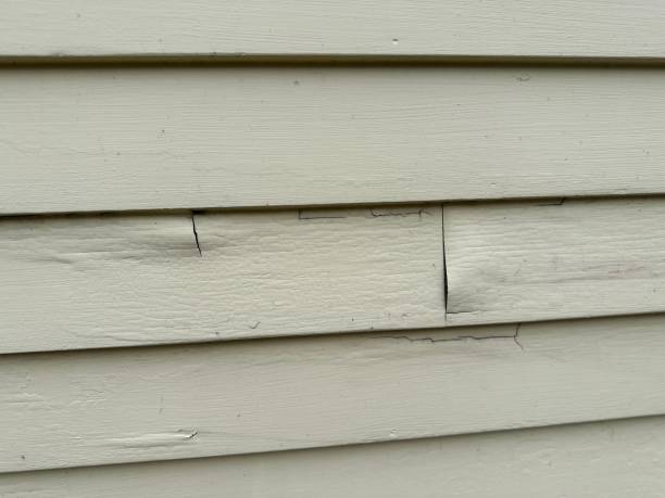 Best Property Management Cleanouts  in Aurora, MO